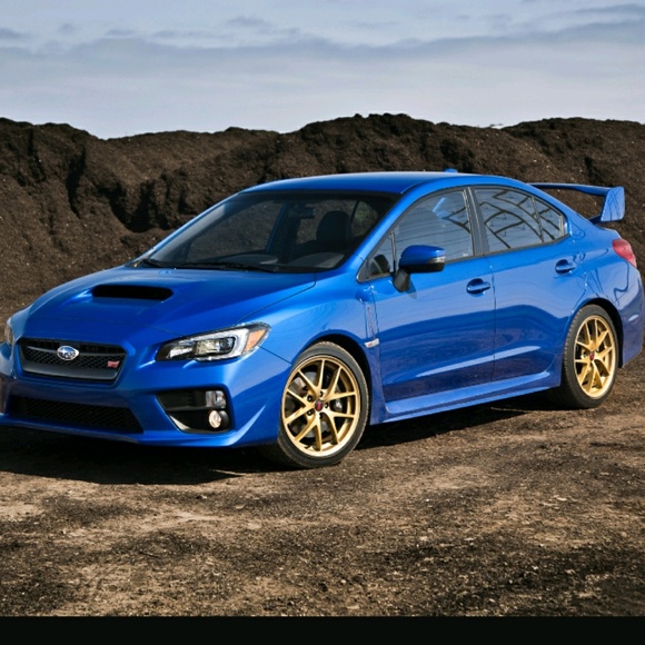 Meet your Posher, Lucas - Picture 1 of 1